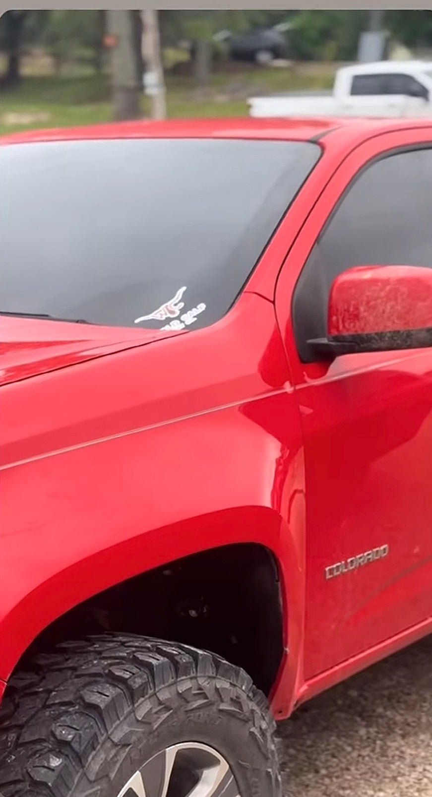 Wild Calf Vinyl Truck Decals - Wild Calf Hat Company