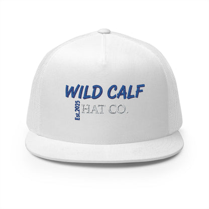 The Blue/White Signature