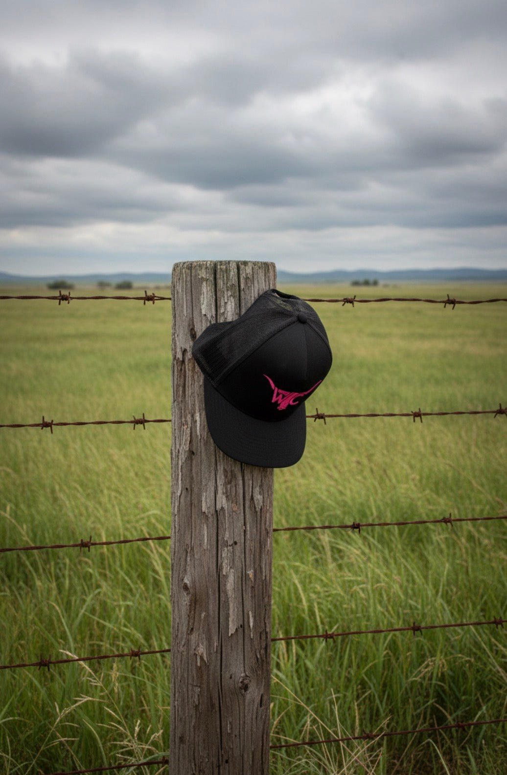 The Pink Longhorn WC Cap - Wild Calf Hat Company