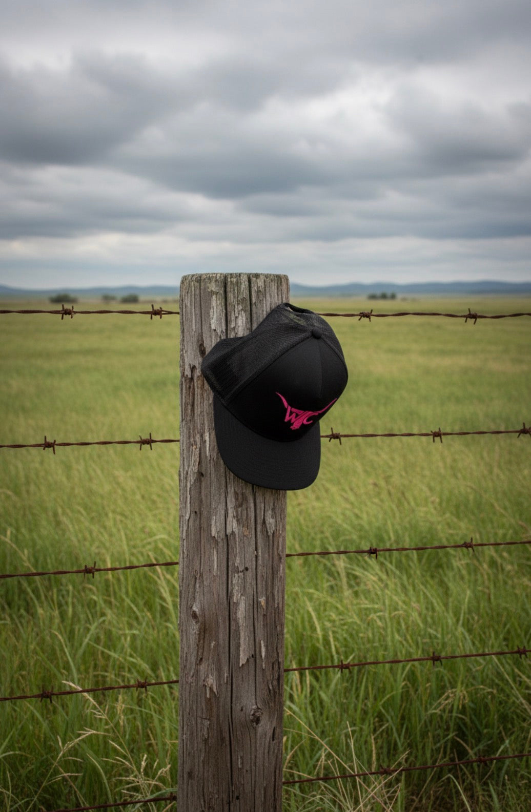 The Pink Longhorn WC Cap